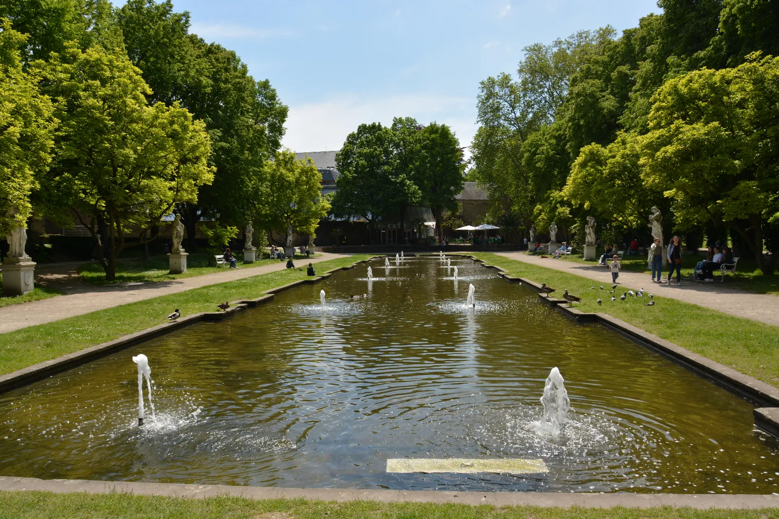 DSC_0259.JPG