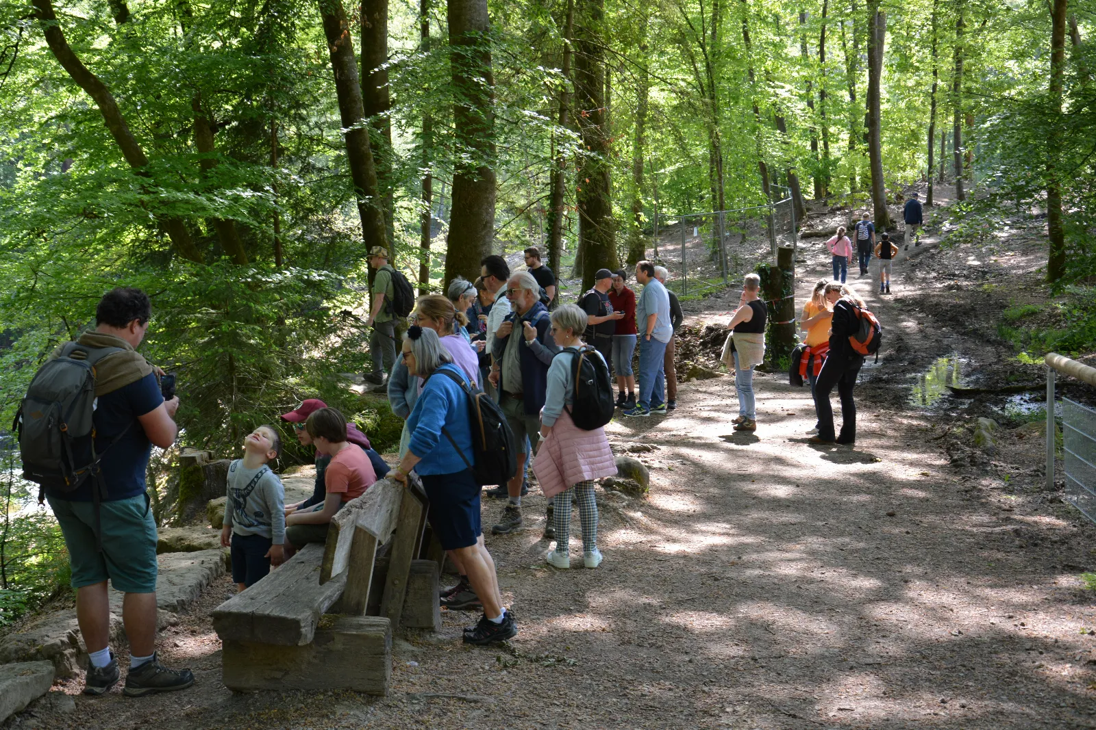 DSC_0183.JPG