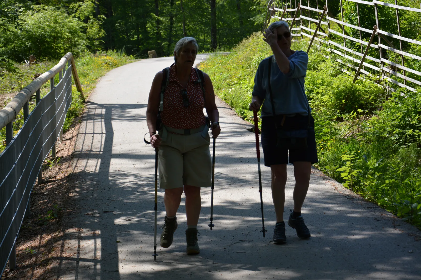DSC_0185.JPG