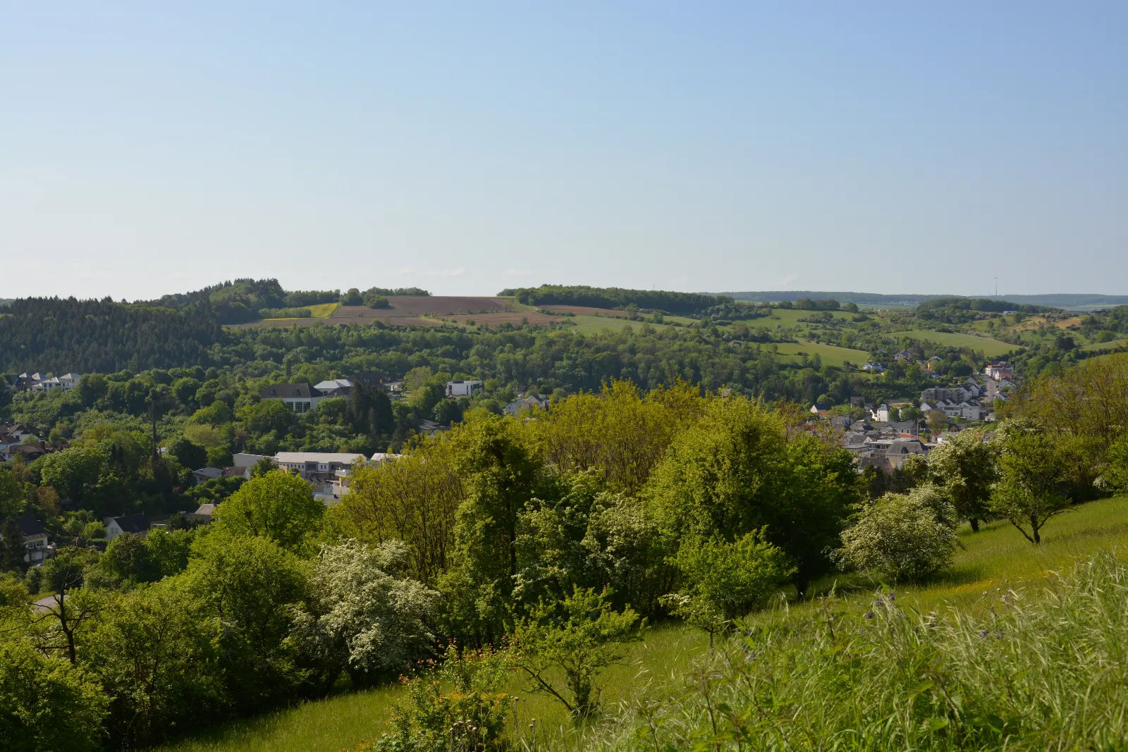 DSC_0058.JPG