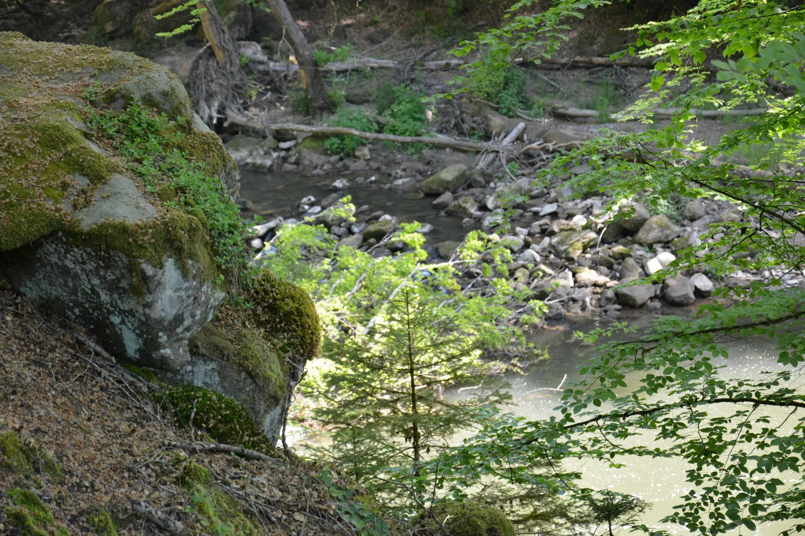 DSC_0181.JPG