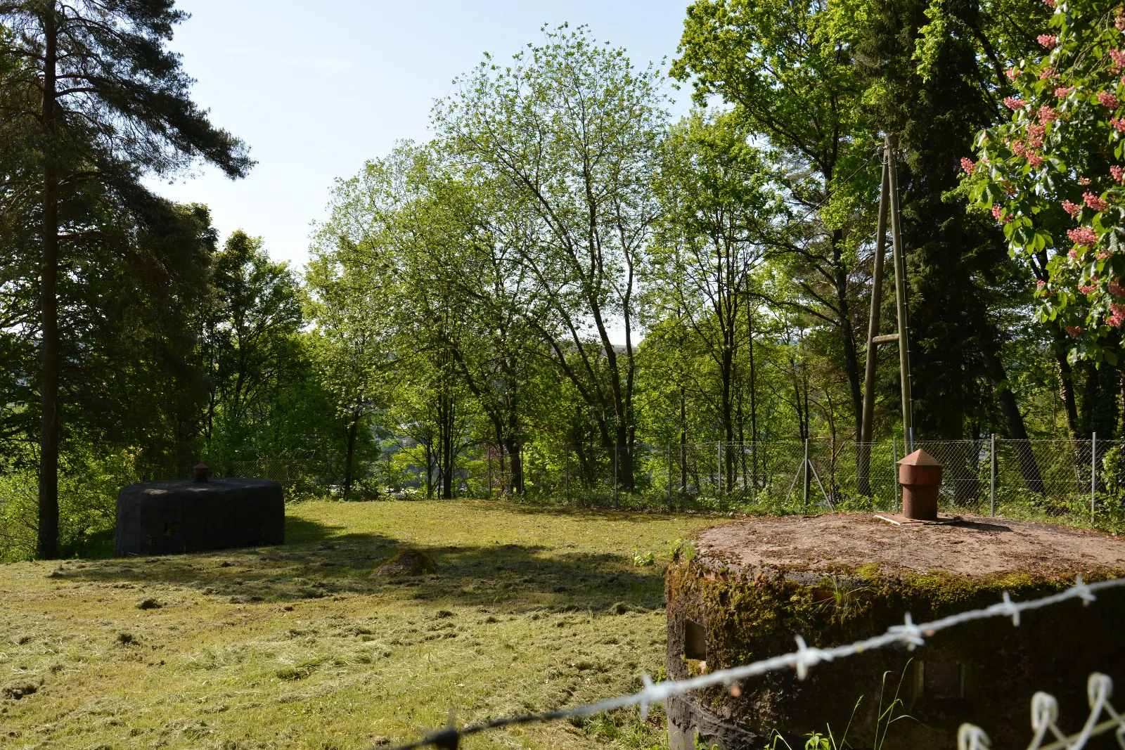 DSC_0069.JPG