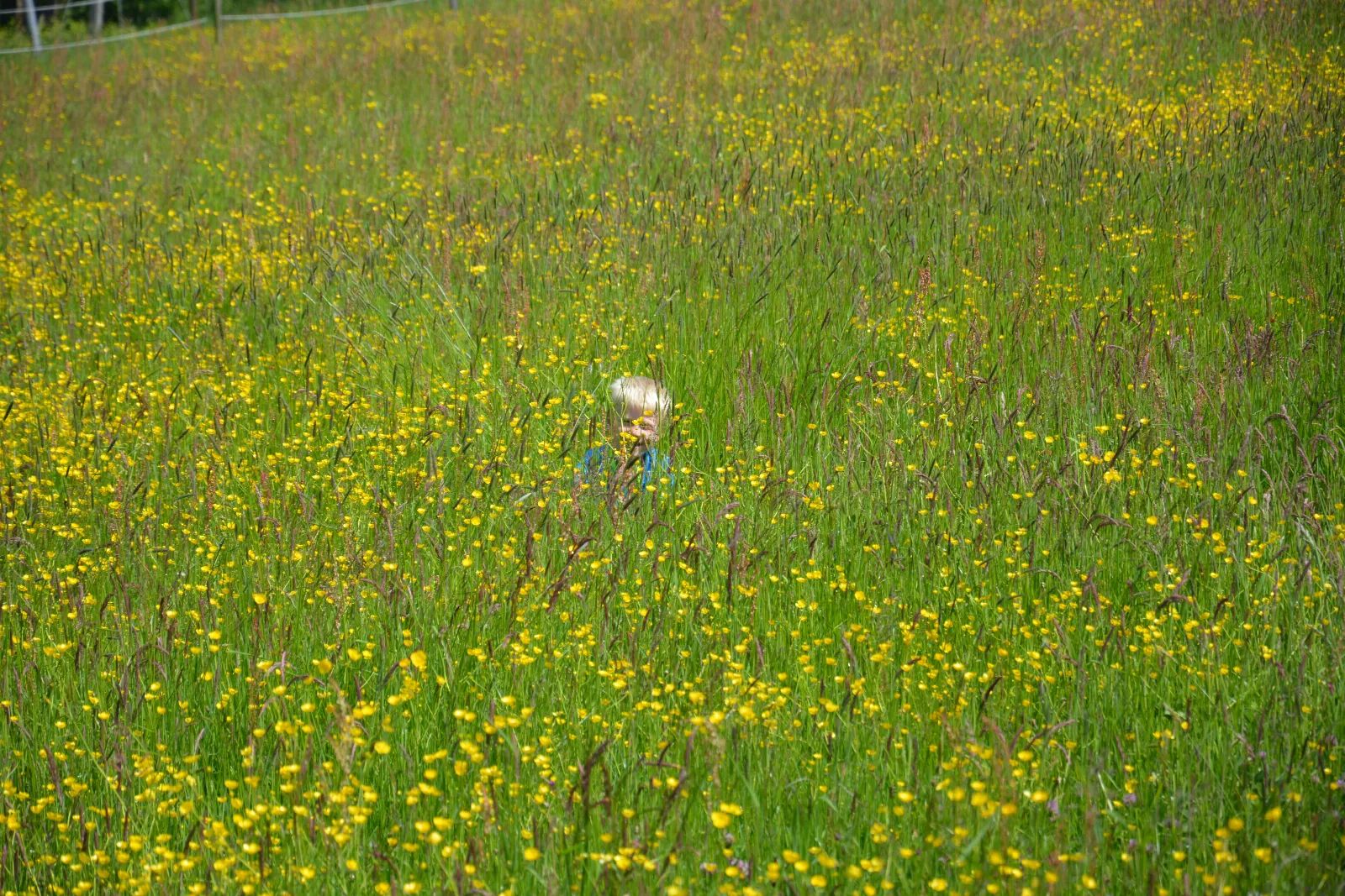 DSC_0202.JPG