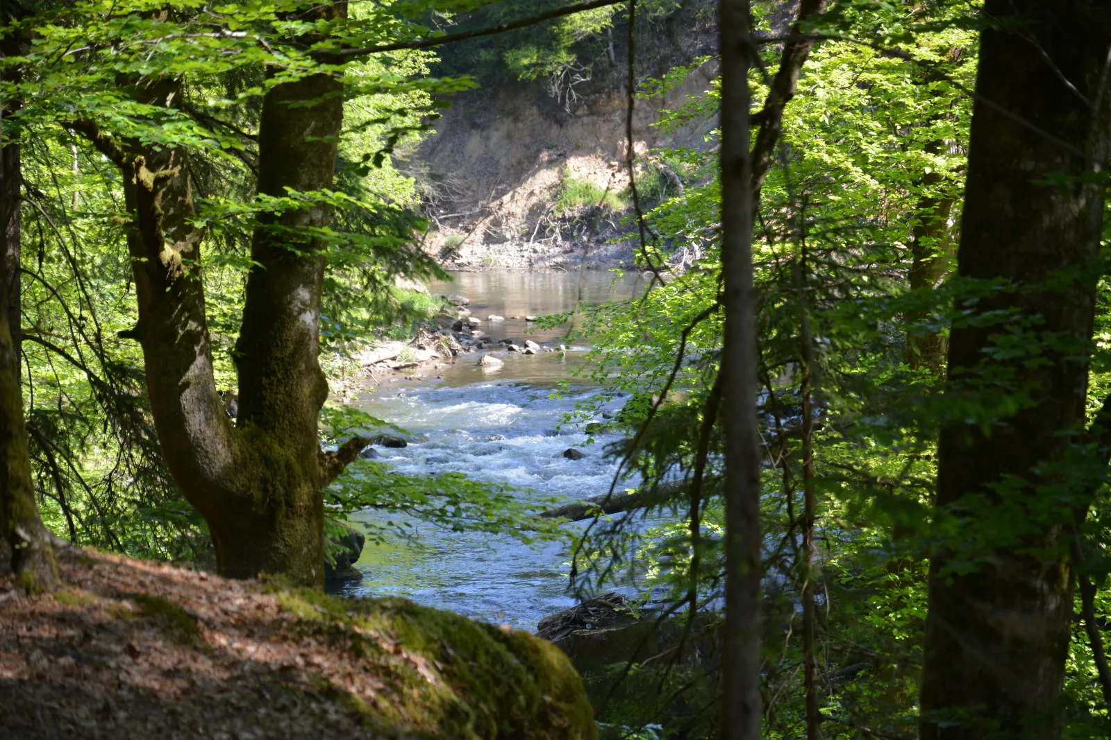DSC_0182.JPG