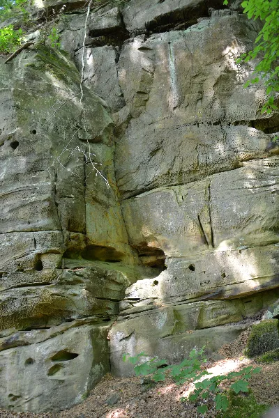 DSC_0188.JPG